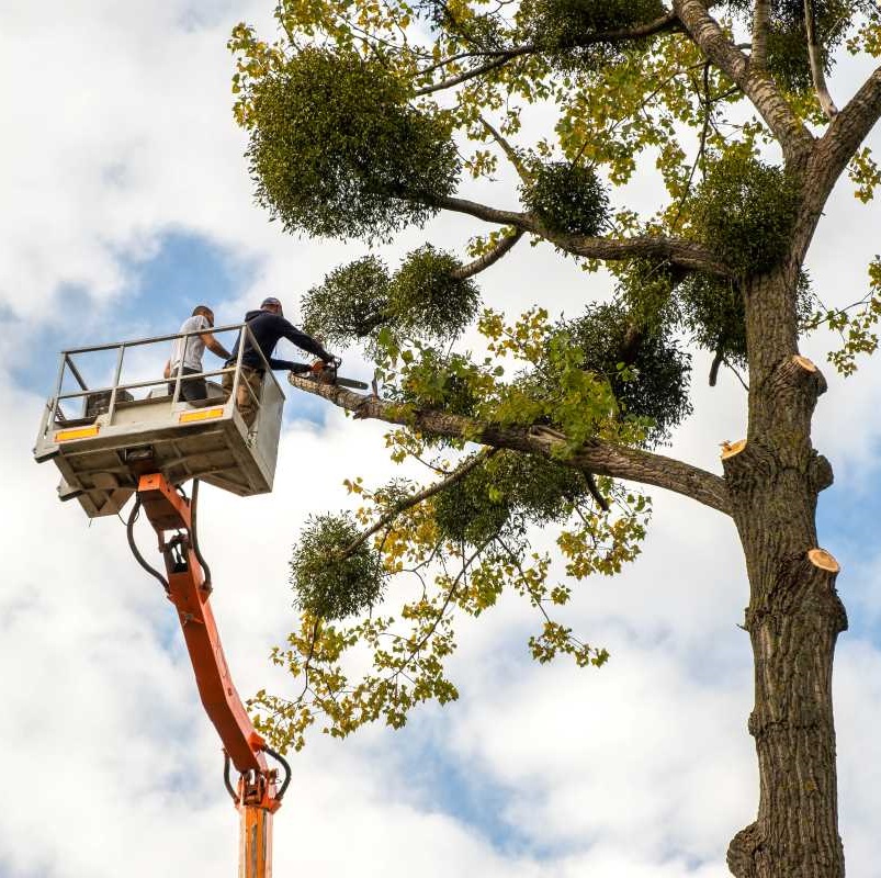 When to Hire a Professional