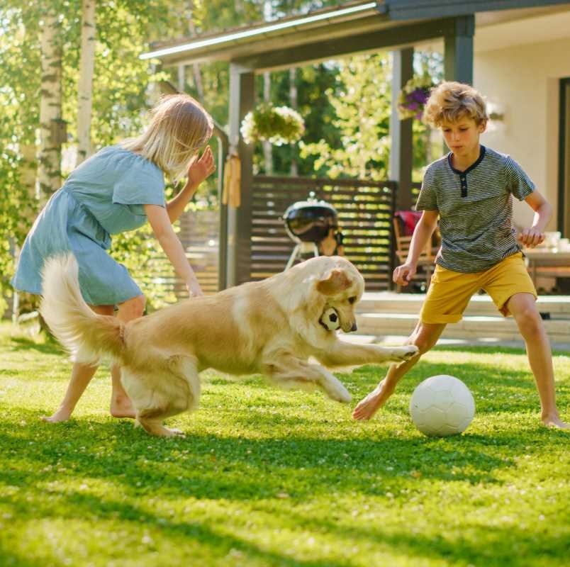 Safe for children and pets