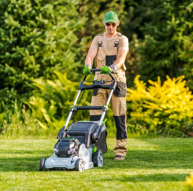 Aerate your lawn
