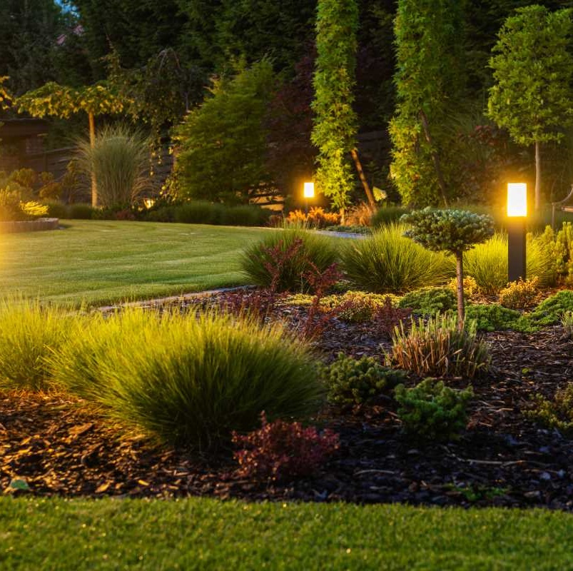 Keep your lawn well-maintained